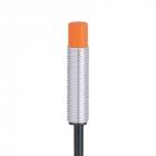 IFM IEBC005-ASKG (IE5345) M8, 5mm non-flush, PNP/NPN NO, V4a, 2, cable, inductive sensor