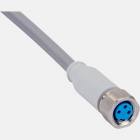 Sick DOL-0803-G02MNI (6059177) Sensor actuator cable, Female connector, M8, 3-pin, straight, 2m